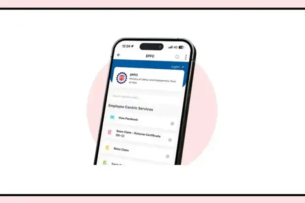 Employee checking EPF partial withdrawal rules and PF balance