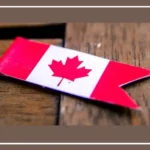 Indian student preparing financial documents for a Canada study permit