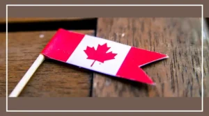 Indian student preparing financial documents for a Canada study permit