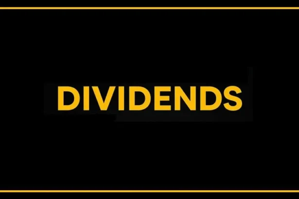 Hindustan Composites special interim dividend announcement of ₹21 per equity share