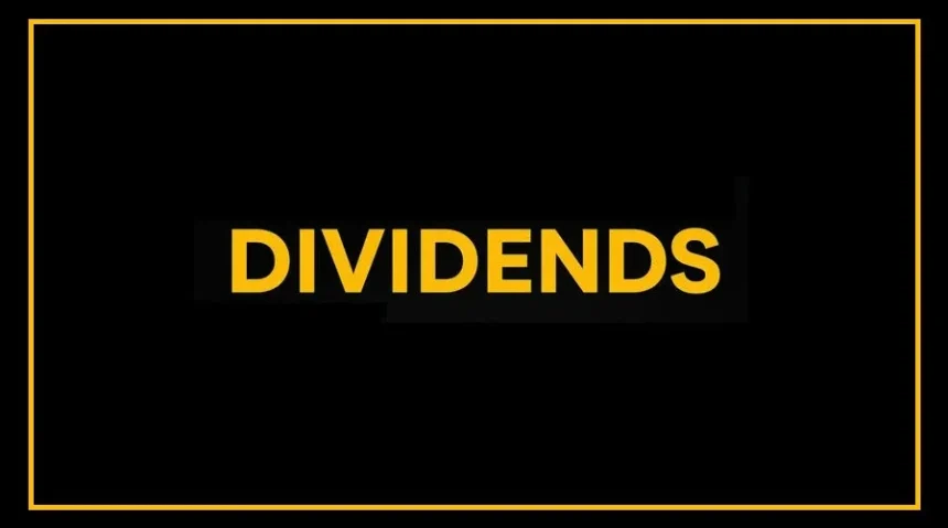 Accelya Solutions India dividend announcement and stock market details